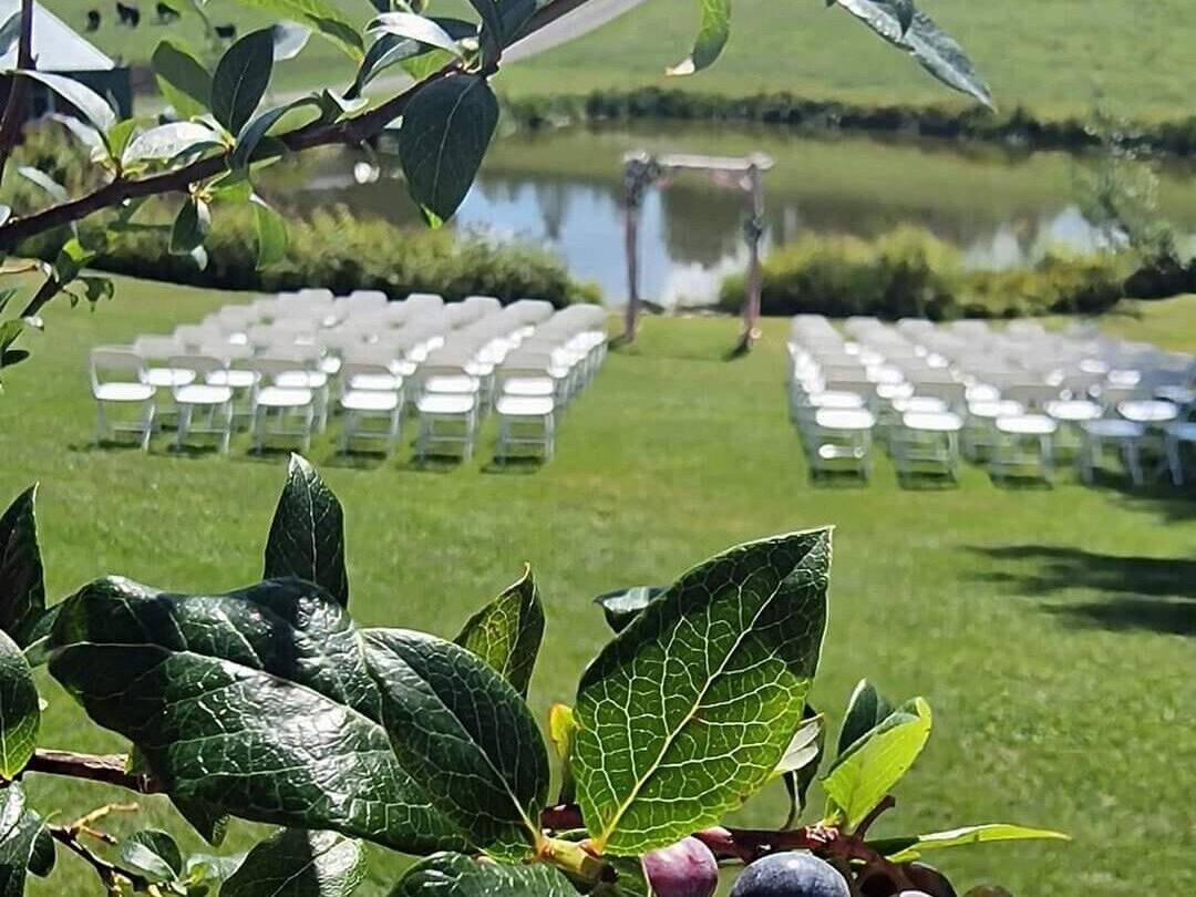 Outdoor wedding setup with white chairs and greenery.