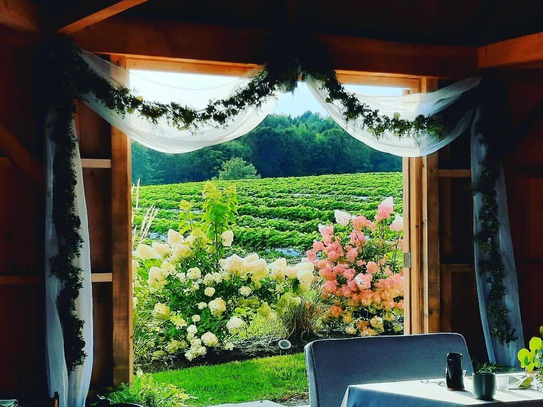Scenic countryside view framed by decorated window drapes.